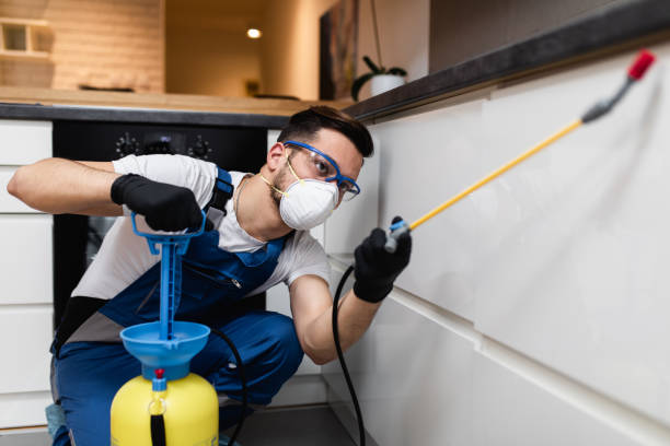 Best Flea Control Services  in La Habra, CA