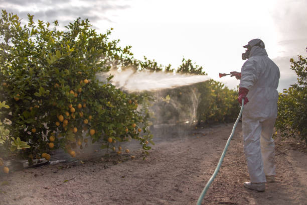Best Spider Control Near Me  in La Habra, CA
