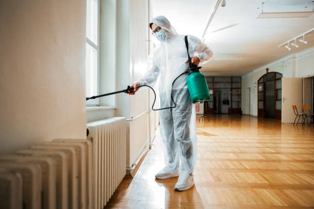 Best Pest Control for Homes  in La Habra, CA