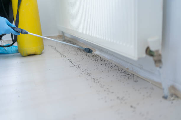Pest Control for Restaurants in La Habra, CA